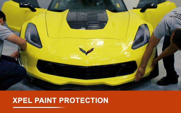 XPEL PAINT PROTECTION