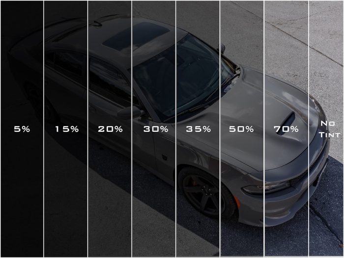 Enhance Your Ride: The Ultimate Guide to Window Tinting - AMP ...